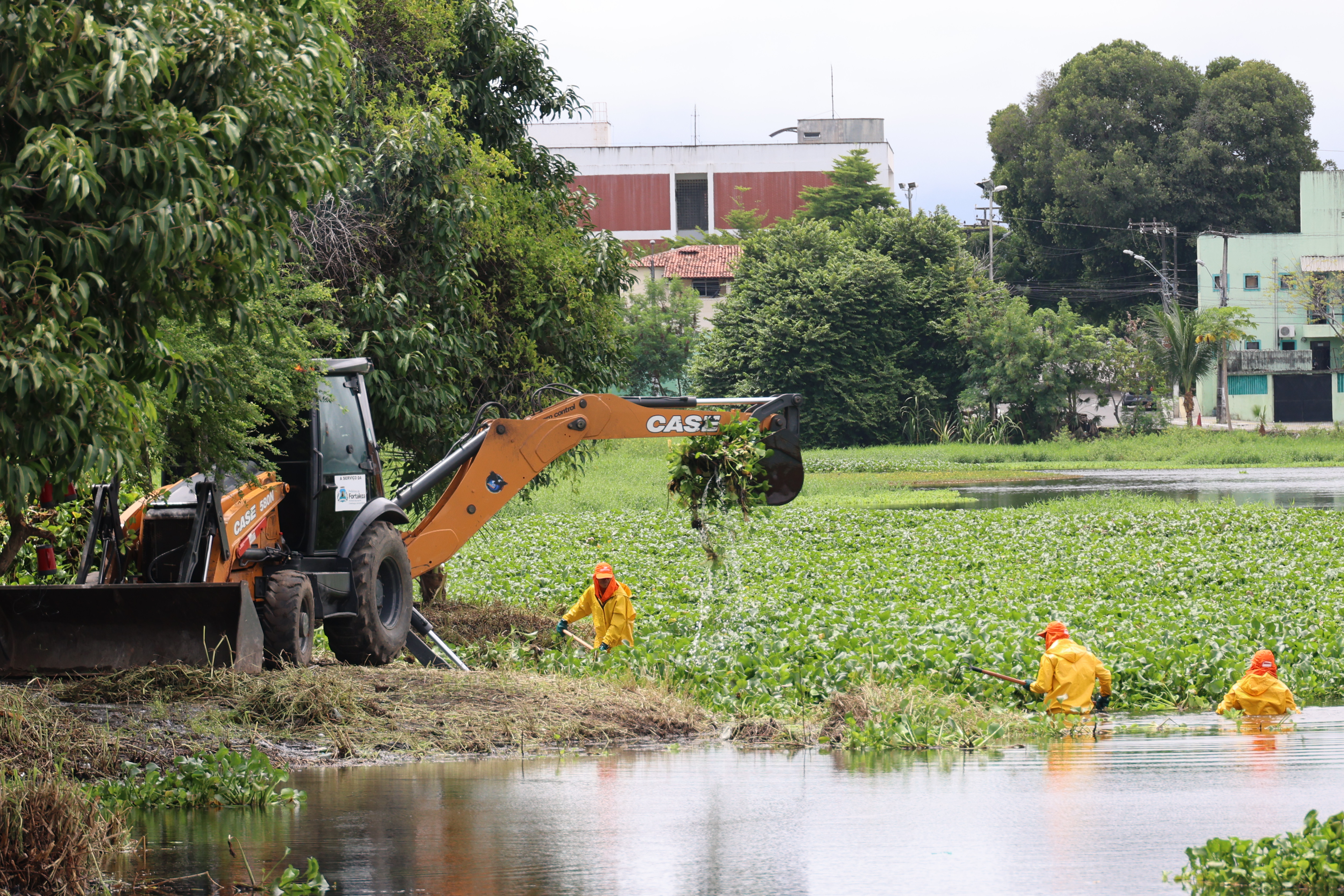 homens trabalhando na limpeza da lagoa de porangabussu